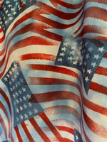 FADED AMERICAN FLAG PANTS 2025