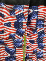 AMERICAN FLAG PANTS 2025