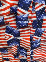 AMERICAN FLAG PANTS 2025